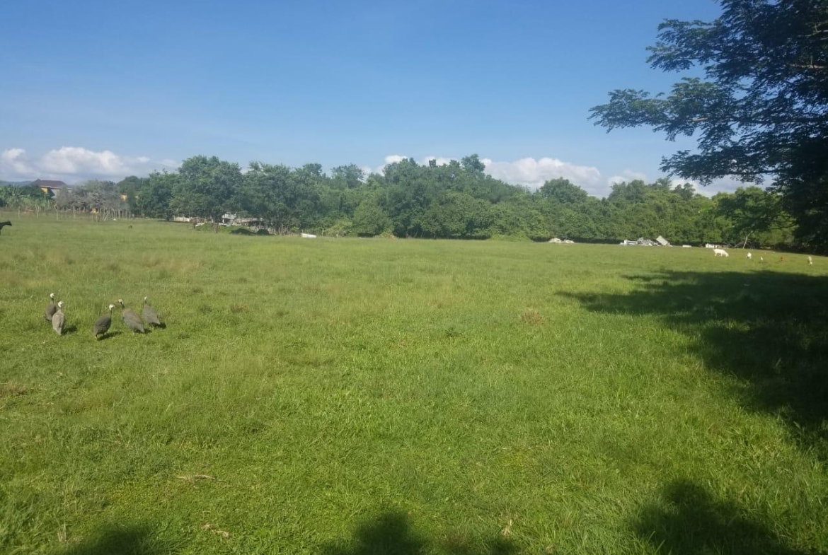 Seventh image of Lower Works, Black River in Black River, St. Elizabeth, Jamaica - property is For Sale