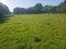 First image of Lower Works, Black River in Black River, St. Elizabeth, Jamaica - property is For Sale