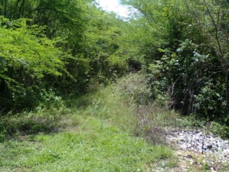 Second image of Lot # 28 St. Jago Drive, St. Jago in Spanish Town, St. Catherine, Jamaica - property is For Sale