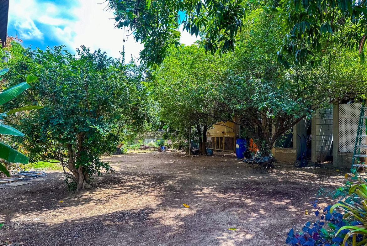 Eighteenth image of Halifax Avenue in Kingston 6, St. Andrew, Jamaica - property is For Sale