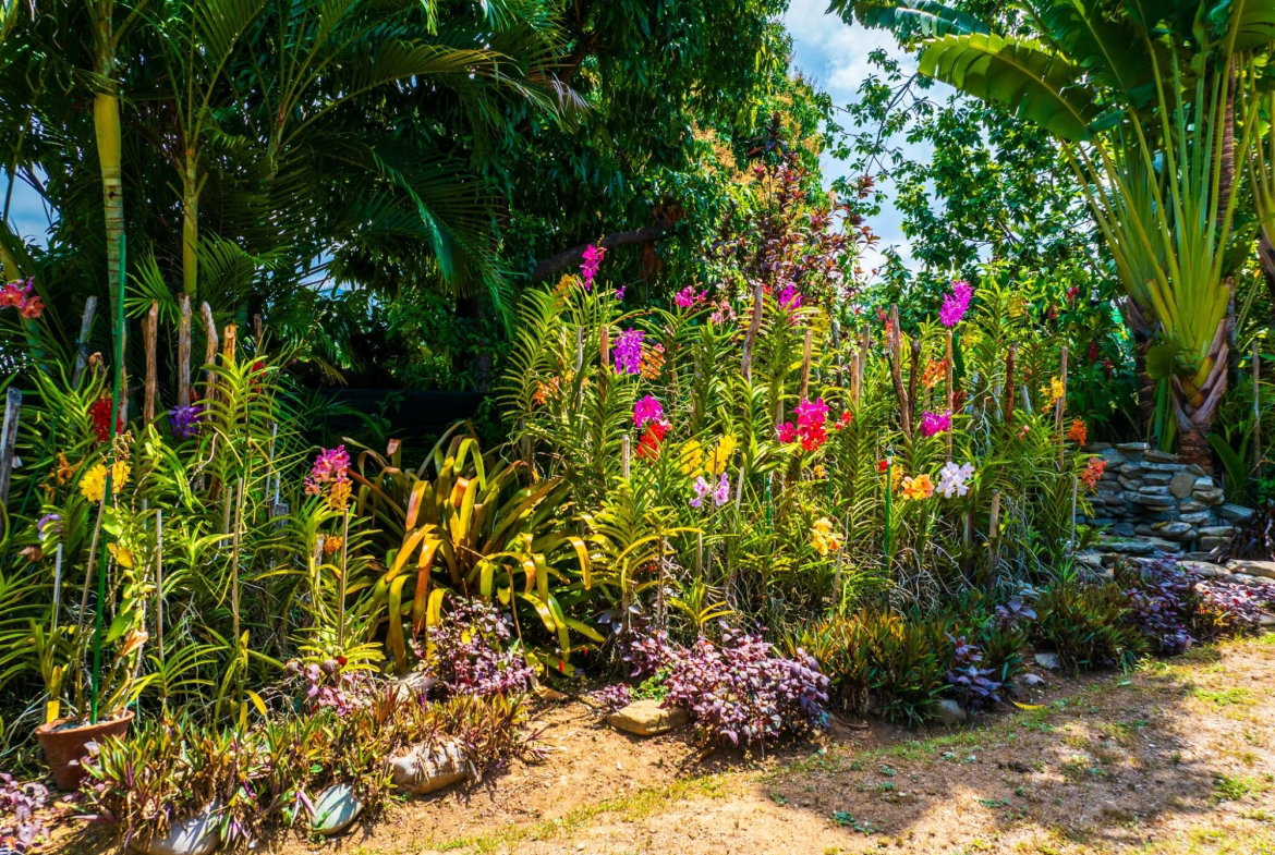 Tenth image of Halifax Avenue in Kingston 6, St. Andrew, Jamaica - property is For Sale
