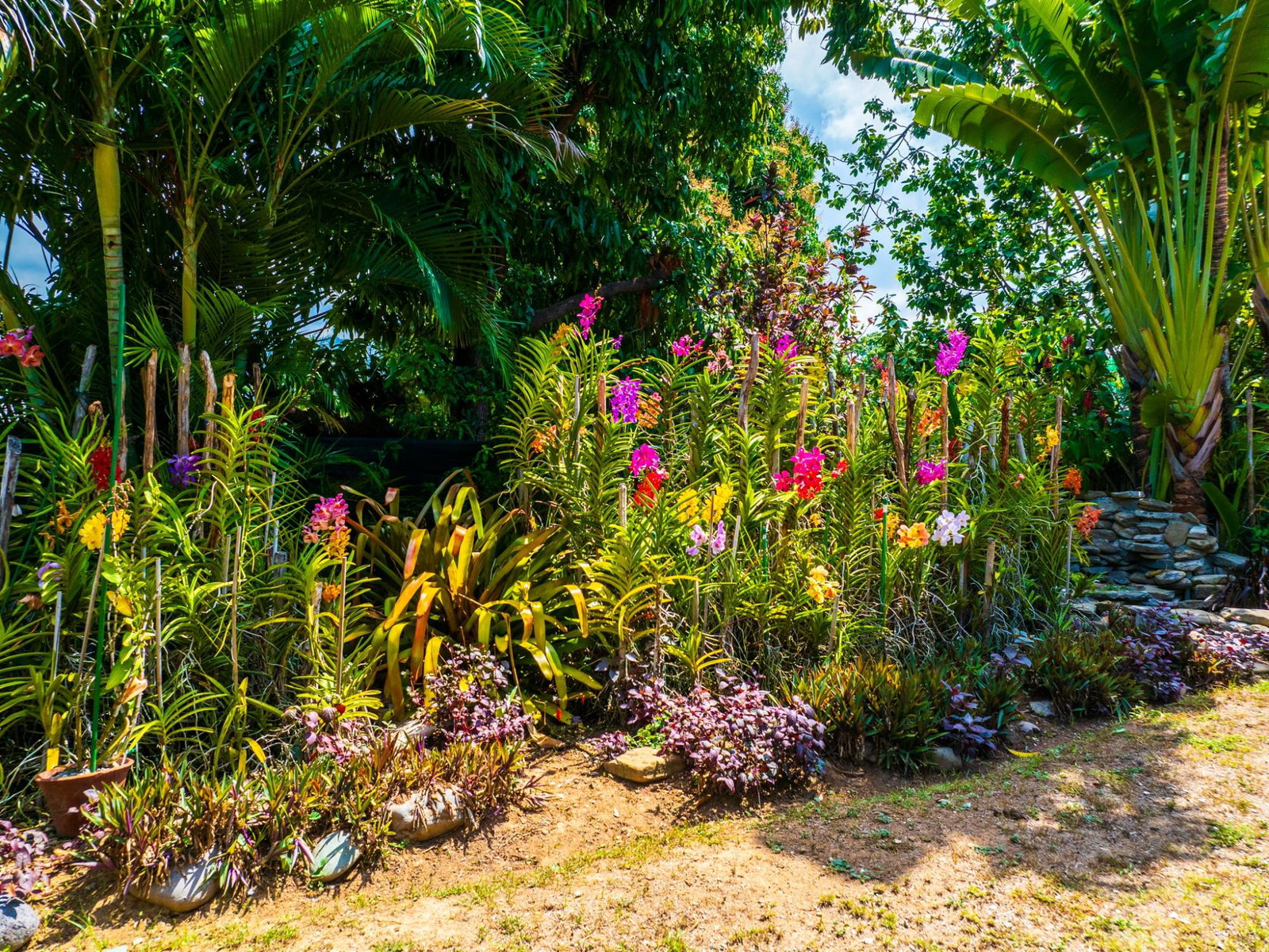 Residential-Development-Opportunity-in-Barbican-Jamaica Tenth image of Halifax Avenue in Kingston 6, St. Andrew, Jamaica - property is For Sale