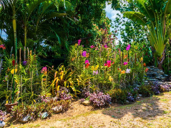Tenth image of Halifax Avenue in Kingston 6, St. Andrew, Jamaica - property is For Sale