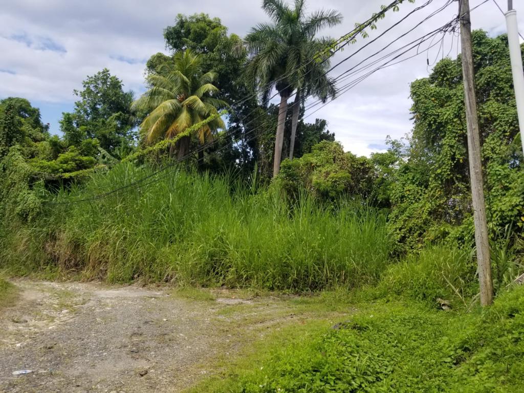 Second image of Boundbrook Height in Port Antonio, Portland, Jamaica - property is For Sale
