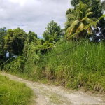 First image of Boundbrook Height in Port Antonio, Portland, Jamaica - property is For Sale