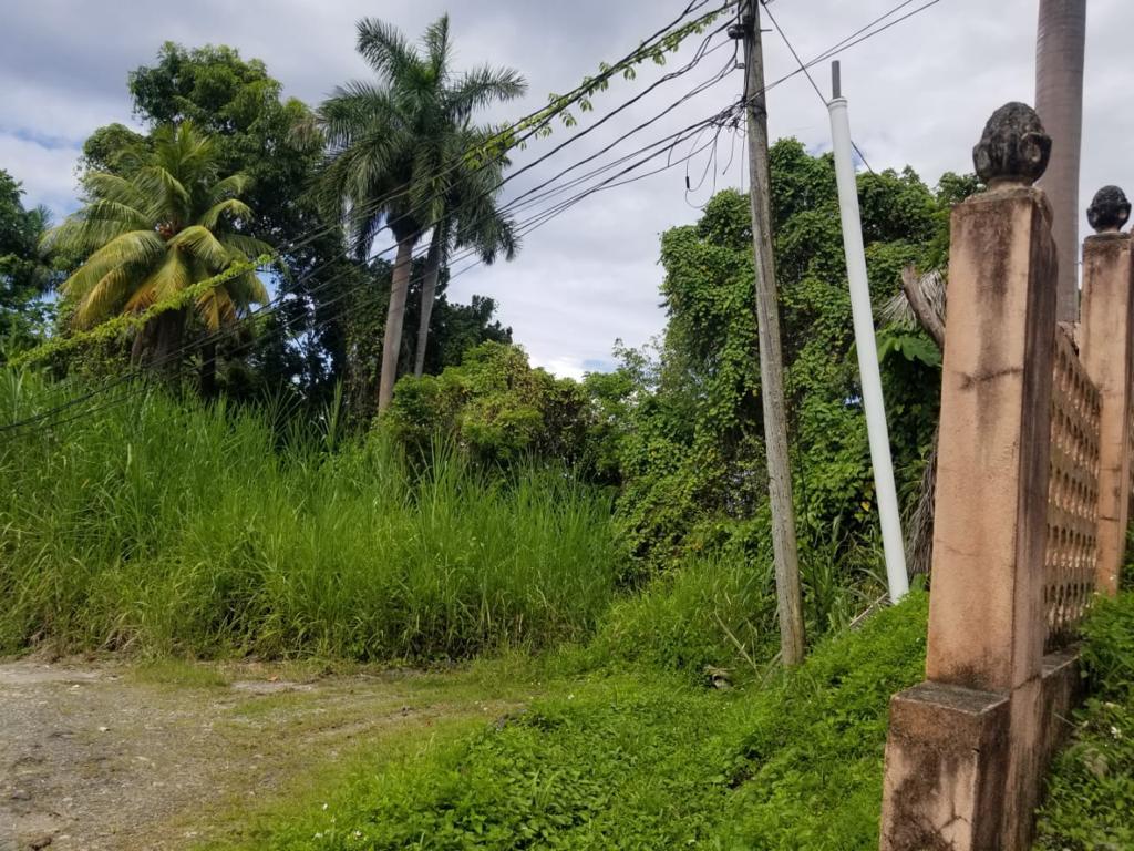 Third image of Boundbrook Height in Port Antonio, Portland, Jamaica - property is For Sale