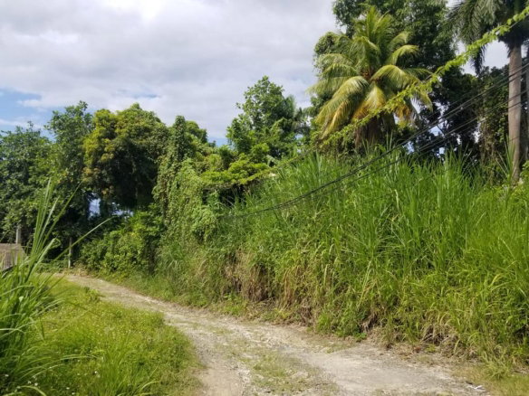 First image of Boundbrook Height in Port Antonio, Portland, Jamaica - property is For Sale