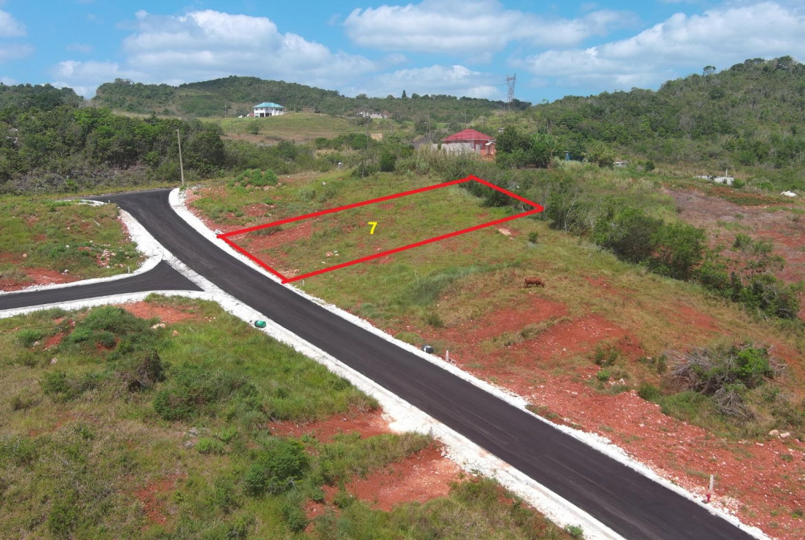 Fifth image of Lot 7 New Wales in Knockpatrick, Manchester, Jamaica - property is For Sale