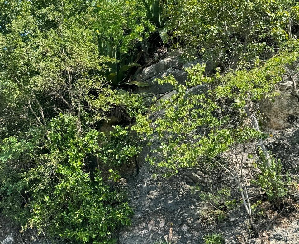Eleventh image of Lot # 20 st Jago Drive, st Cathe in Spanish Town, St. Catherine, Jamaica - property is For Sale