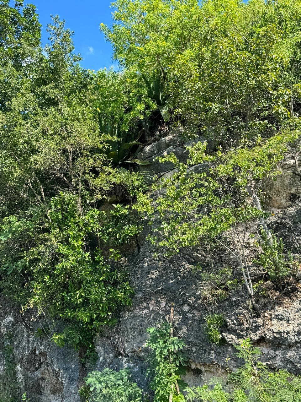 Eleventh image of Lot # 20 st Jago Drive, st Cathe in Spanish Town, St. Catherine, Jamaica - property is For Sale