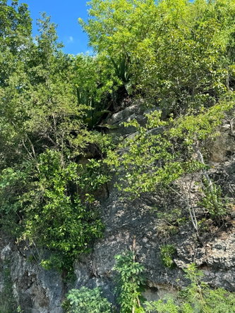 Eleventh image of Lot # 20 st Jago Drive, st Cathe in Spanish Town, St. Catherine, Jamaica - property is For Sale