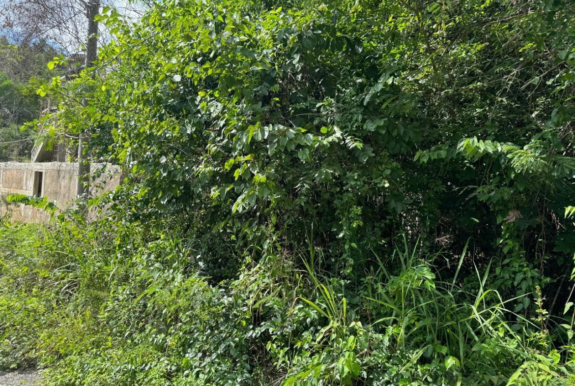 Fifth image of Lot # 20 st Jago Drive, st Cathe in Spanish Town, St. Catherine, Jamaica - property is For Sale
