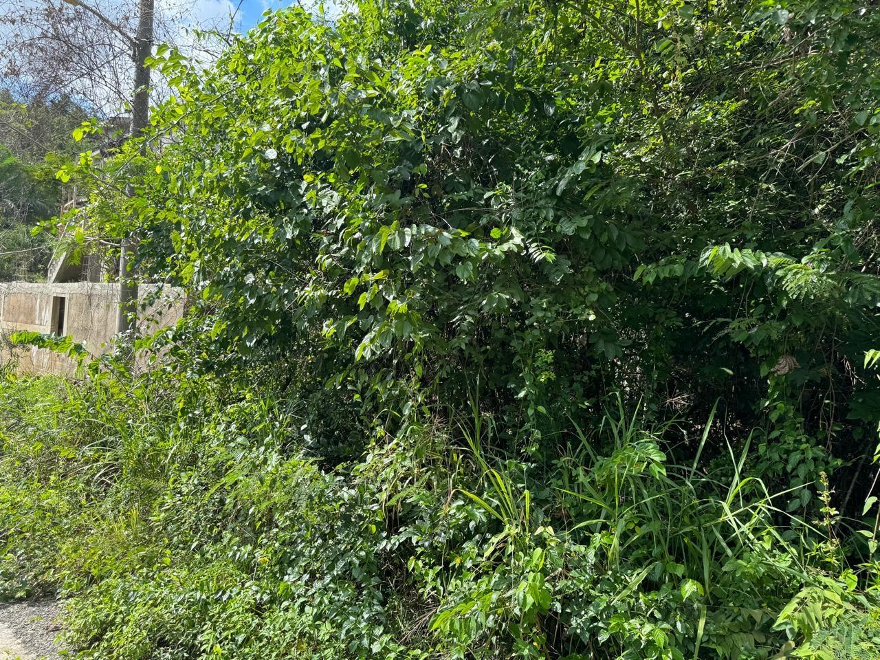 Fifth image of Lot # 20 st Jago Drive, st Cathe in Spanish Town, St. Catherine, Jamaica - property is For Sale