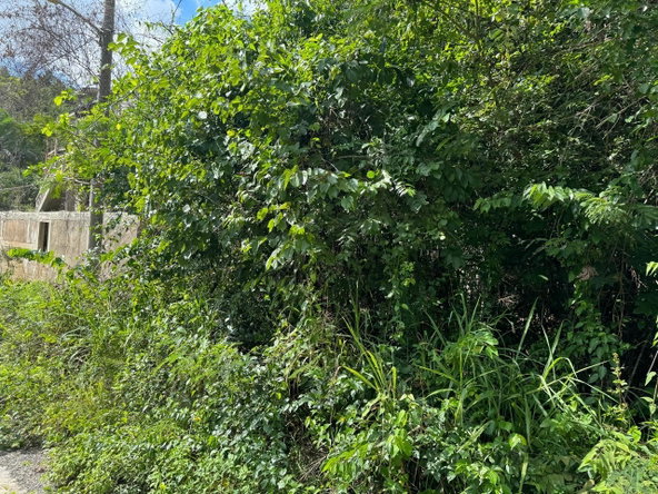 Fifth image of Lot # 20 st Jago Drive, st Cathe in Spanish Town, St. Catherine, Jamaica - property is For Sale