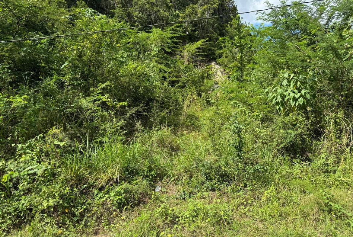 Sixth image of Lot # 20 st Jago Drive, st Cathe in Spanish Town, St. Catherine, Jamaica - property is For Sale