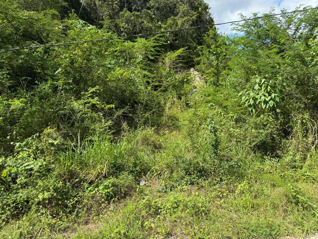 Sixth image of Lot # 20 st Jago Drive, st Cathe in Spanish Town, St. Catherine, Jamaica - property is For Sale