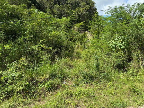 Sixth image of Lot # 20 st Jago Drive, st Cathe in Spanish Town, St. Catherine, Jamaica - property is For Sale