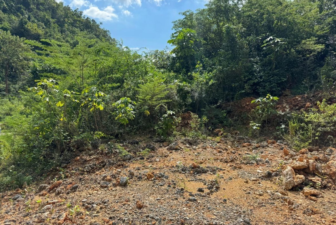 Seventh image of Lot # 20 st Jago Drive, st Cathe in Spanish Town, St. Catherine, Jamaica - property is For Sale