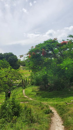 Fourth image of Lot-423 Culloden Phase 2, Whiteho in Culloden, Westmoreland, Jamaica - property is For Sale