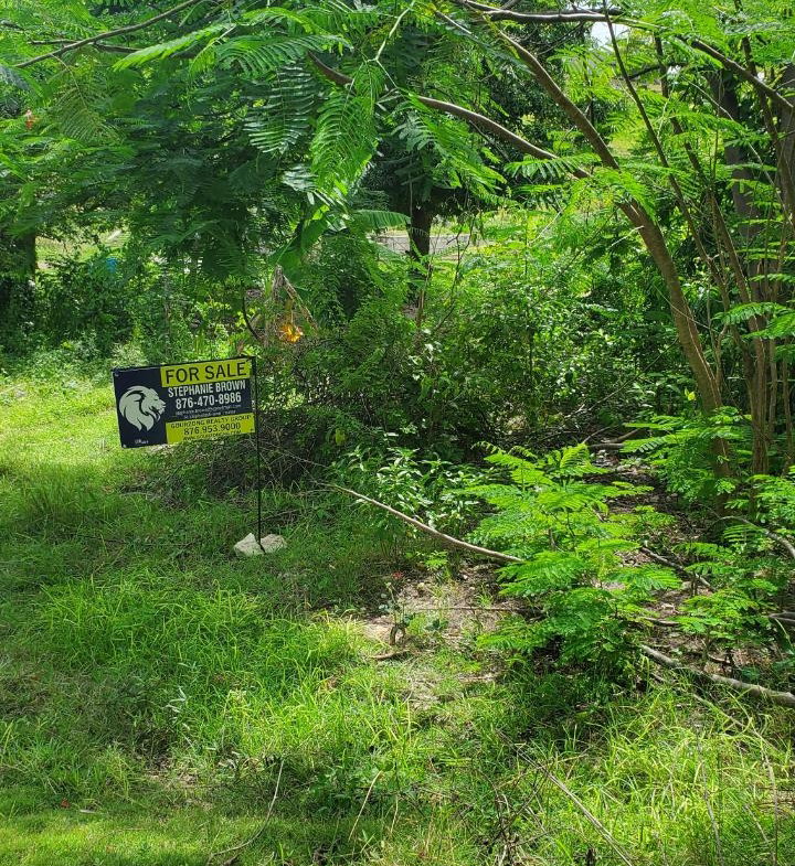 Fifth image of Lot-423 Culloden Phase 2, Whiteho in Culloden, Westmoreland, Jamaica - property is For Sale