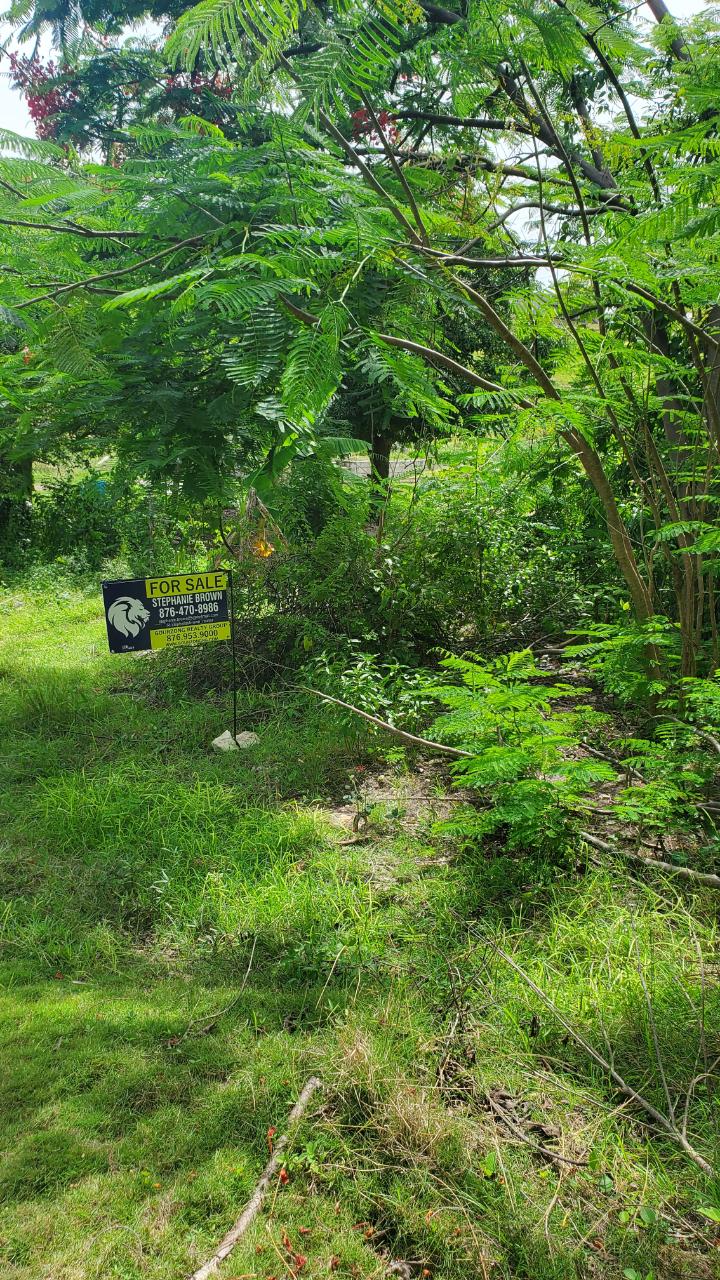 Fifth image of Lot-423 Culloden Phase 2, Whiteho in Culloden, Westmoreland, Jamaica - property is For Sale