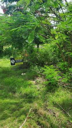 Fifth image of Lot-423 Culloden Phase 2, Whiteho in Culloden, Westmoreland, Jamaica - property is For Sale