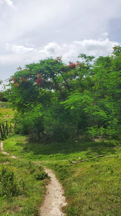 Sixth image of Lot-423 Culloden Phase 2, Whiteho in Culloden, Westmoreland, Jamaica - property is For Sale