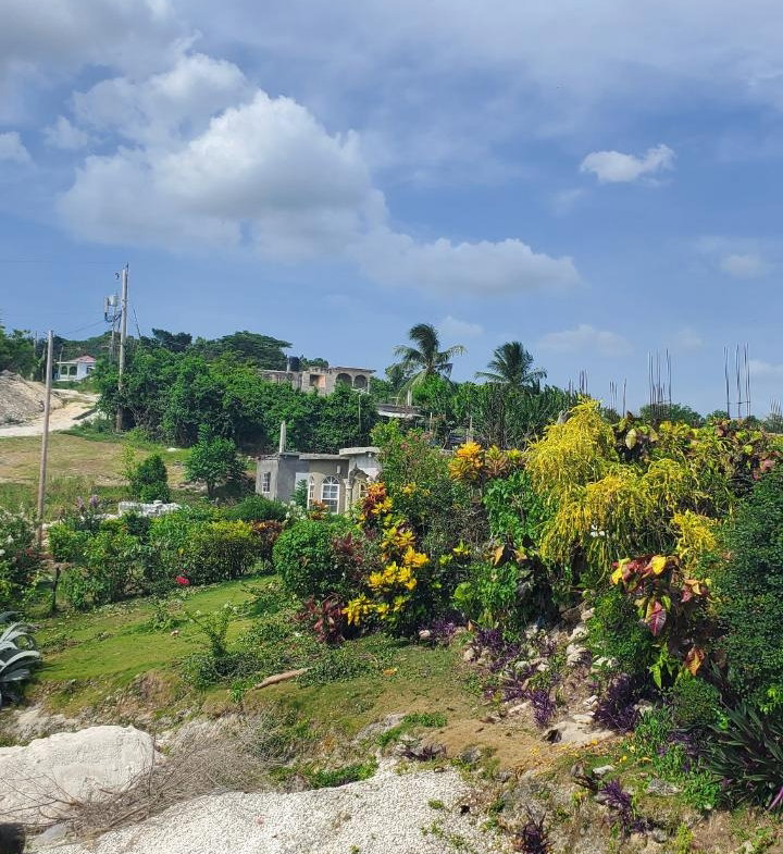 Seventh image of Lot-423 Culloden Phase 2, Whiteho in Culloden, Westmoreland, Jamaica - property is For Sale