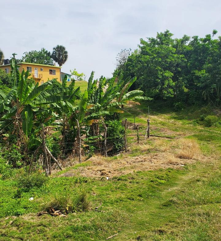 Ninth image of Lot-423 Culloden Phase 2, Whiteho in Culloden, Westmoreland, Jamaica - property is For Sale