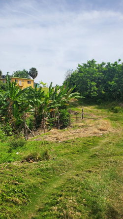 Ninth image of Lot-423 Culloden Phase 2, Whiteho in Culloden, Westmoreland, Jamaica - property is For Sale