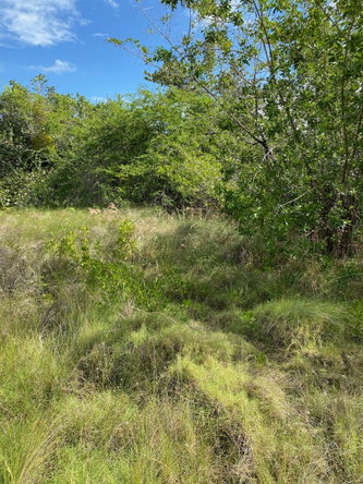 Second image of 119 Parotte Road in Parottee, St. Elizabeth, Jamaica - property is For Sale