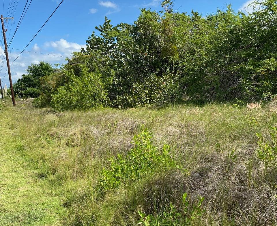 Fourth image of 119 Parotte Road in Parottee, St. Elizabeth, Jamaica - property is For Sale