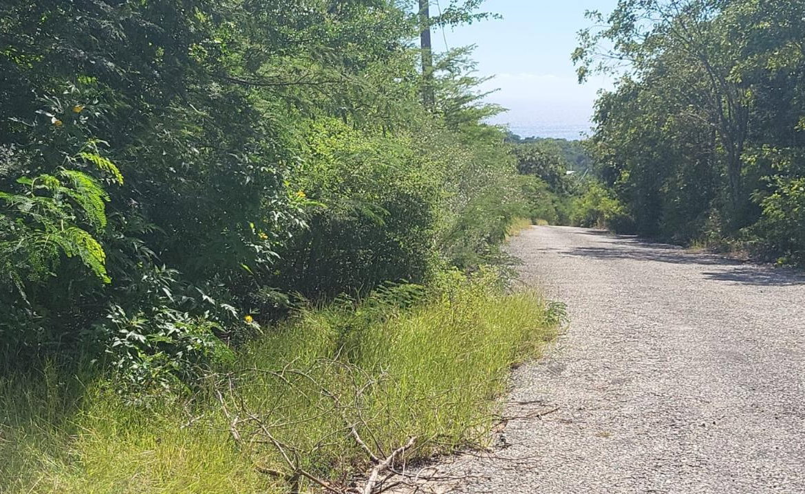 Second image of Spring Garden, Albion Est in Albion Estate, St. Thomas, Jamaica - property is For Sale