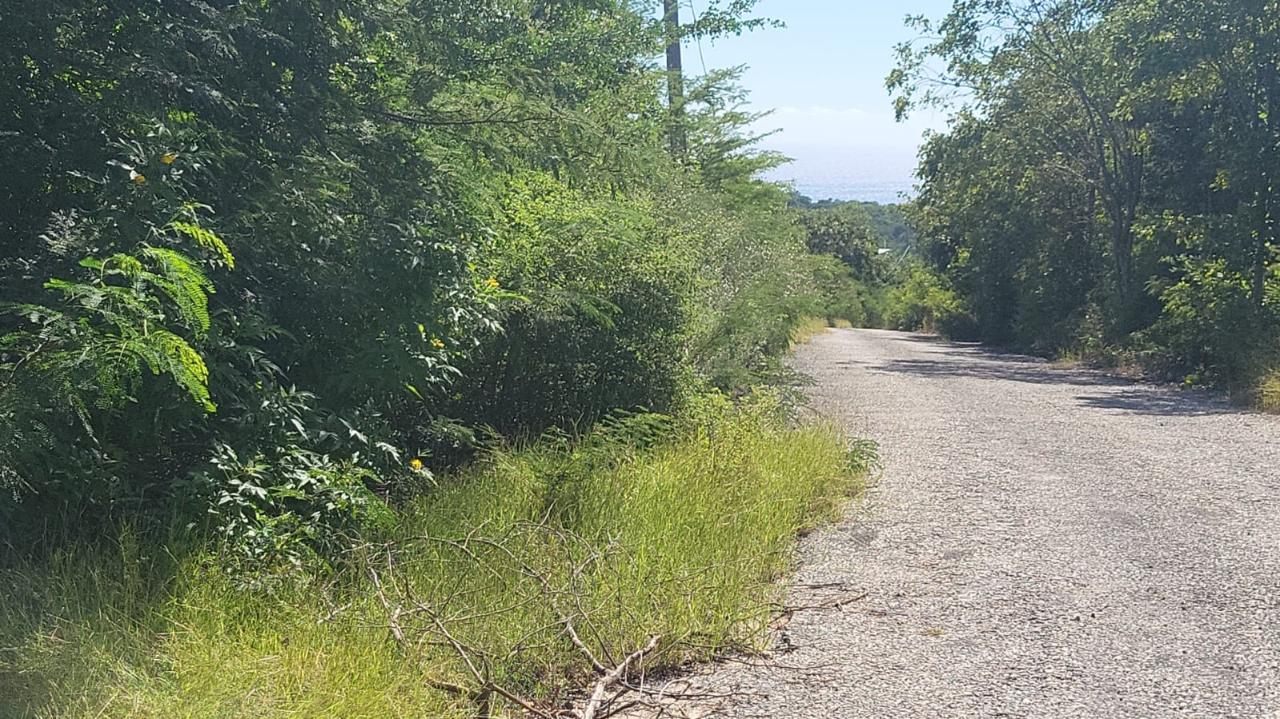 Second image of Spring Garden, Albion Est in Albion Estate, St. Thomas, Jamaica - property is For Sale