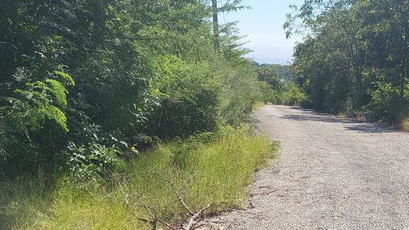 Second image of Spring Garden, Albion Est in Albion Estate, St. Thomas, Jamaica - property is For Sale