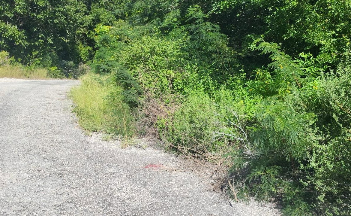 Third image of Spring Garden, Albion Est in Albion Estate, St. Thomas, Jamaica - property is For Sale