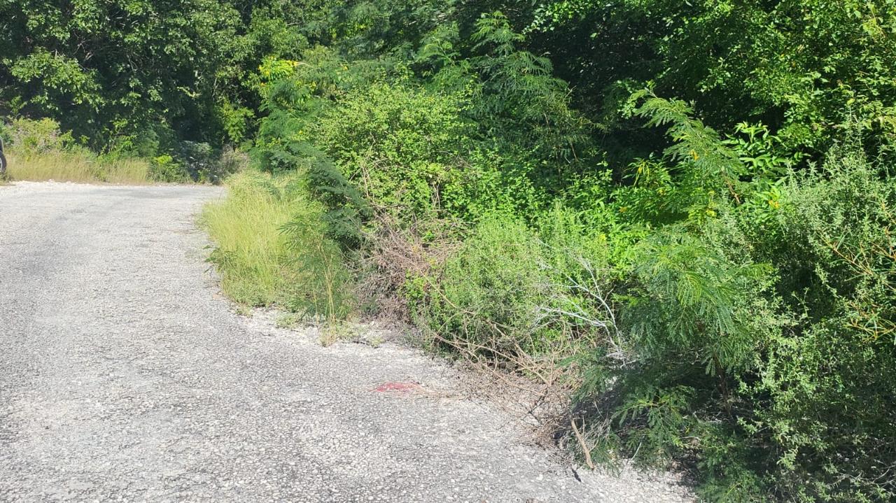 Third image of Spring Garden, Albion Est in Albion Estate, St. Thomas, Jamaica - property is For Sale