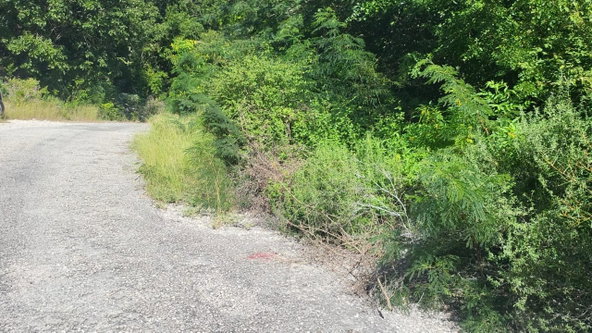 Third image of Spring Garden, Albion Est in Albion Estate, St. Thomas, Jamaica - property is For Sale