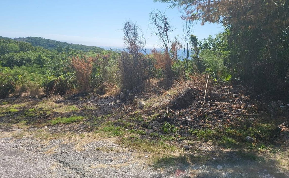 Fourth image of Spring Garden, Albion Est in Albion Estate, St. Thomas, Jamaica - property is For Sale