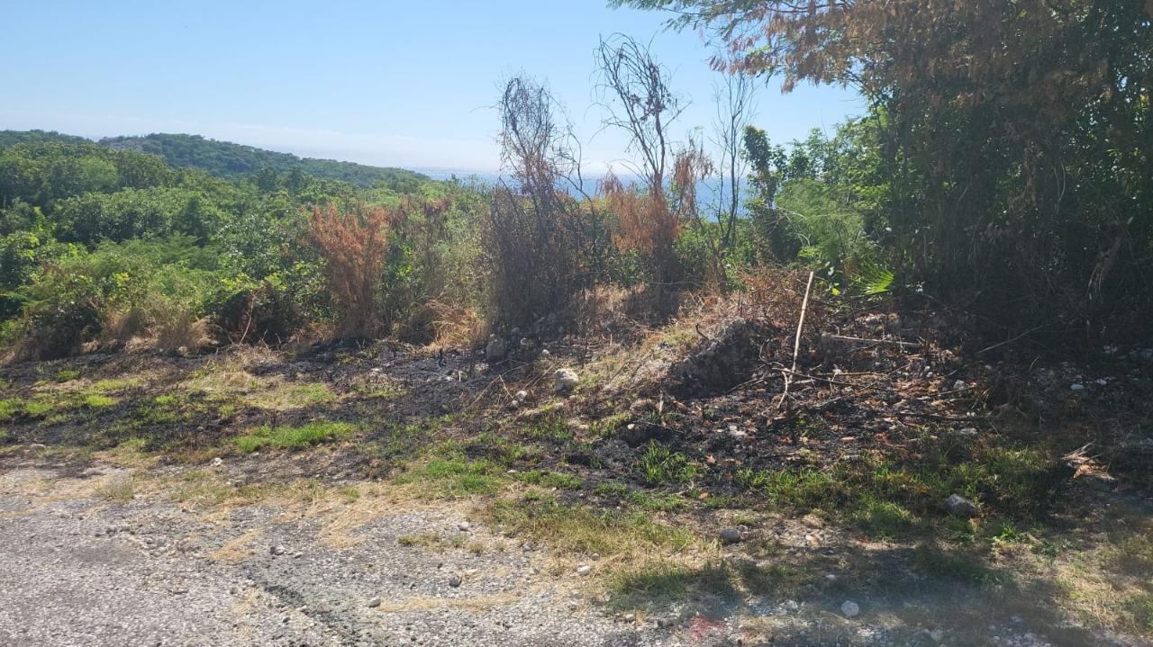 Fourth image of Spring Garden, Albion Est in Albion Estate, St. Thomas, Jamaica - property is For Sale