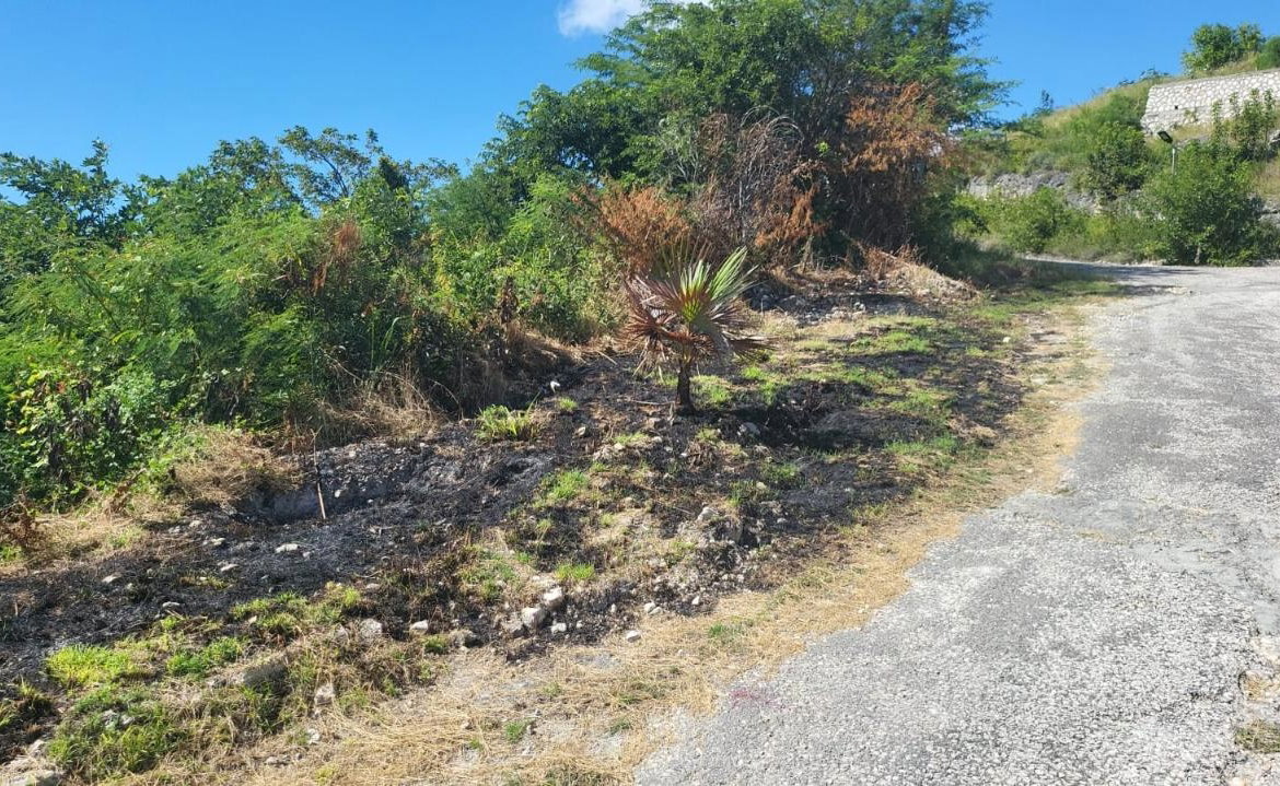 Fifth image of Spring Garden, Albion Est in Albion Estate, St. Thomas, Jamaica - property is For Sale