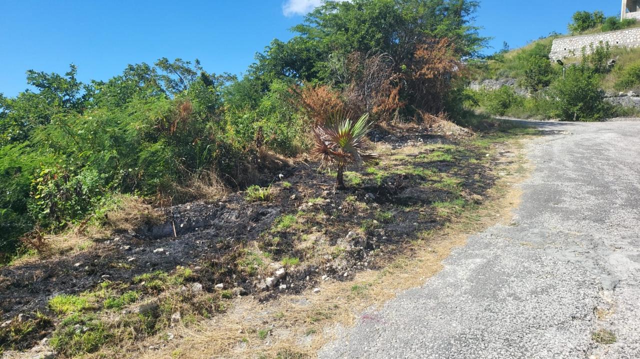 Fifth image of Spring Garden, Albion Est in Albion Estate, St. Thomas, Jamaica - property is For Sale