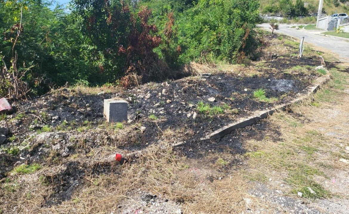 Sixth image of Spring Garden, Albion Est in Albion Estate, St. Thomas, Jamaica - property is For Sale