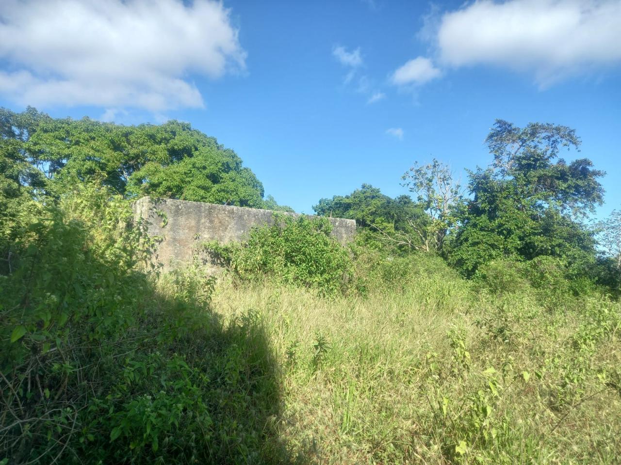 Second image of Albion Knockpatrick, Manc in Knockpatrick, Manchester, Jamaica - property is For Sale