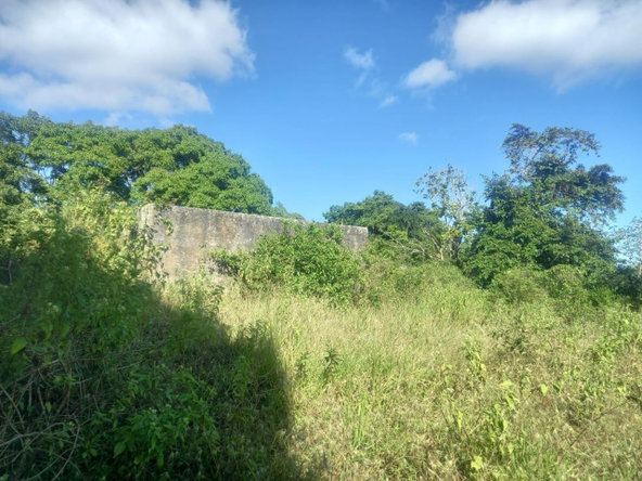 Second image of Albion Knockpatrick, Manc in Knockpatrick, Manchester, Jamaica - property is For Sale
