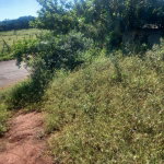 First image of Albion Knockpatrick, Manc in Knockpatrick, Manchester, Jamaica - property is For Sale