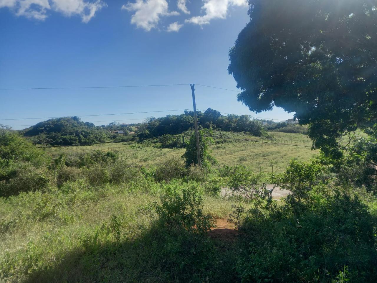 Third image of Albion Knockpatrick, Manc in Knockpatrick, Manchester, Jamaica - property is For Sale