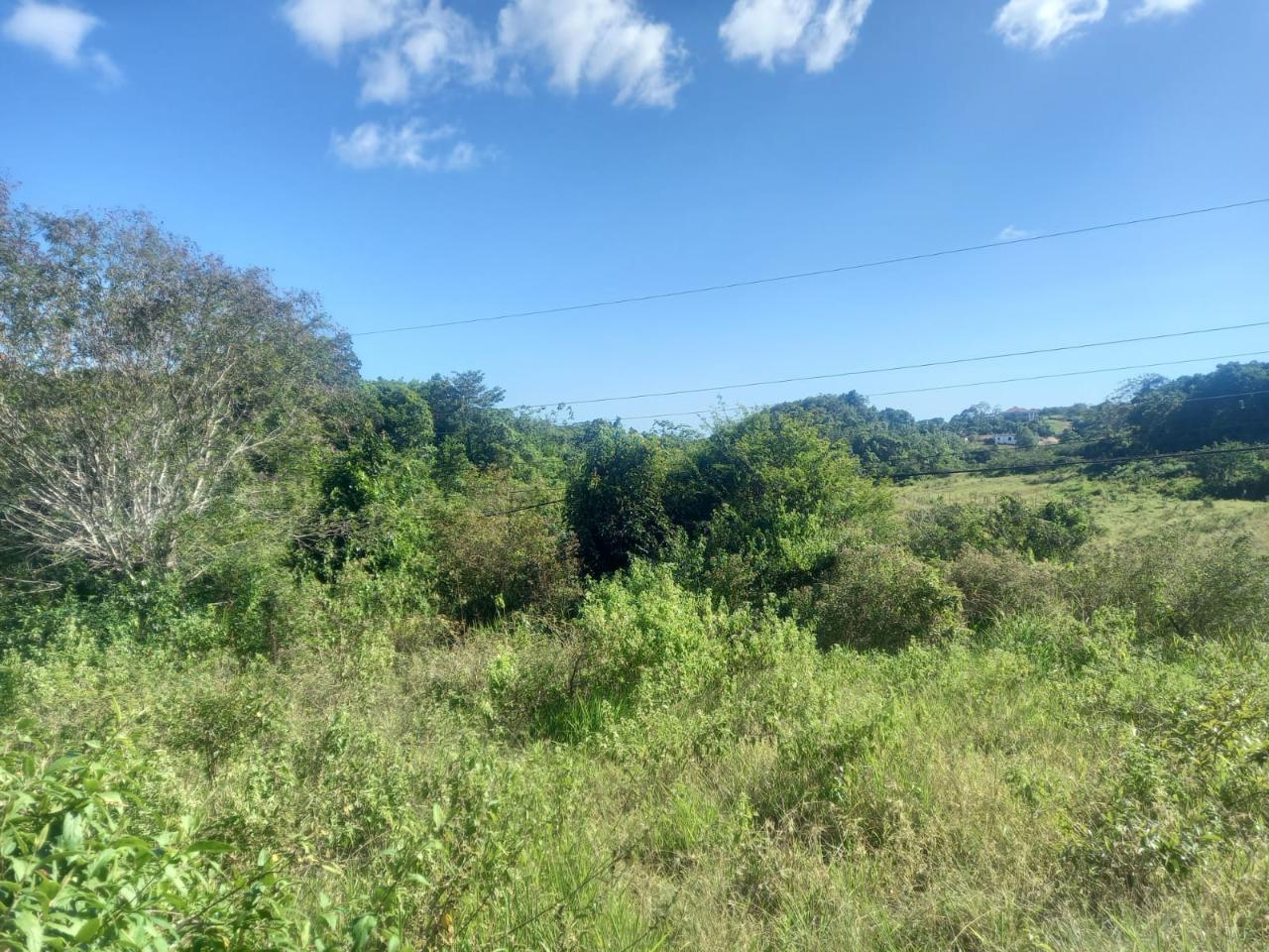 Fourth image of Albion Knockpatrick, Manc in Knockpatrick, Manchester, Jamaica - property is For Sale