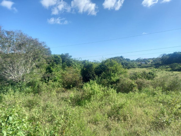 Fourth image of Albion Knockpatrick, Manc in Knockpatrick, Manchester, Jamaica - property is For Sale