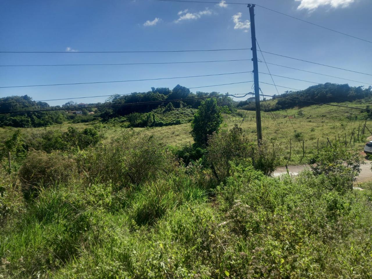 Fifth image of Albion Knockpatrick, Manc in Knockpatrick, Manchester, Jamaica - property is For Sale